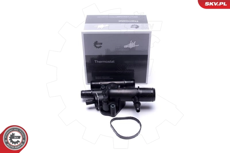 Thermostat, coolant